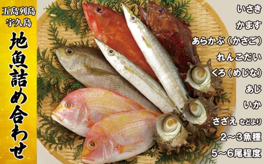A184p 五島列島宇久島地魚詰め合わせ長崎県佐世保市14000魚介・海産物鮮魚