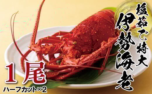 A377p 茧Y䥂œɐCV(1)茧ێs76000ECYGr