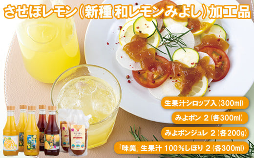C170p 幻の香酸かんきつ味美(新種和レモン)加工品長崎県佐世保市14000お茶・飲料果汁・野菜飲料