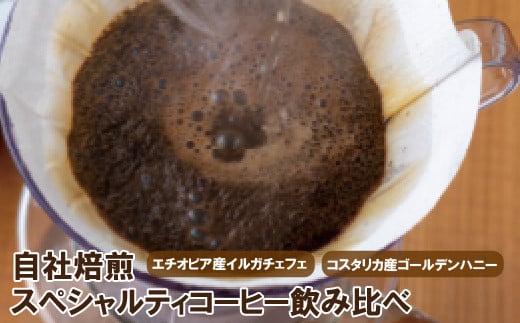 E208p XyVeBR[q[ݔג茧ێs11000ER[q[Eg