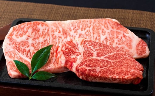 B222p 長崎和牛サーロイン・ヒレ食べ比べステーキセット長崎県佐世保市54500肉牛肉