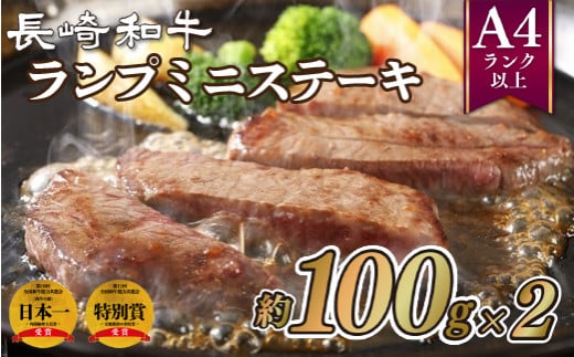 B221p 長崎和牛ランプミニステーキ(2枚)長崎県佐世保市11000肉牛肉