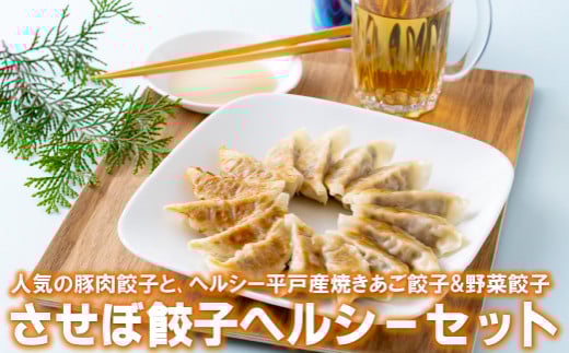 E179p 〈させぼ餃子研究所〉させぼ餃子ヘルシーセット長崎県佐世保市11000鍋セット・総菜・加工食品総菜