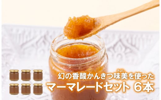 C173p 幻の香酸かんきつ味美(新種和レモン)を使ったマーマレードセット長崎県佐世保市11000鍋セット・総菜・加工食品ジャム・はちみつ
