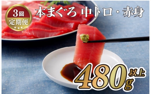 A132p 【全3回定期便 総計1.44kg】長崎県産 本マグロ (中トロ・赤身)  計480g以上 海鮮丼のタレ付き【本家永松家】マグロ まぐろ 鮪 中トロ 中とろ 赤身 刺身 海鮮丼 定期便 頒布会長崎県佐世保