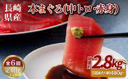 A133p 【全6回定期便 総計2.88kg】長崎県産 本マグロ (中トロ・赤身)  計480g以上 海鮮丼のタレ付き【本家永松家】マグロ まぐろ 鮪 中トロ 中とろ 赤身 刺身 海鮮丼 定期便 頒布会長崎県佐世保