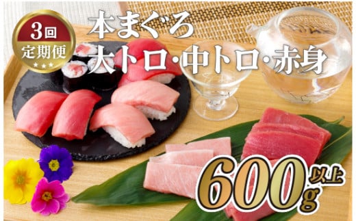 A135p 【全3回定期便 総計1.8kg】本マグロ (大トロ・中トロ・赤身)  計600g以上 長崎県産 海鮮丼のタレ付き【本家永松家】マグロ まぐろ 鮪 大とろ 中とろ 赤身 刺身 定期便長崎県佐世保市105500