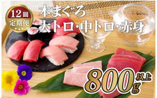 A139p yS12 v9.6kgz{}O (gEgEԐg)  v800gȏ 茧Y CÑ^ty{ƉiƁz}O ܂  Ƃ Ƃ Ԑg hg CN ֒茧