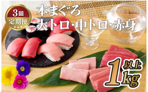 A140p 【全3回定期便 総計3kg】本マグロ (大トロ・中トロ・赤身)  計1kg以上 長崎県産 海鮮丼のタレ付き【本家永松家】マグロ まぐろ 鮪 大とろ 中とろ 赤身 刺身 海鮮丼 定期便長崎県佐世保市1