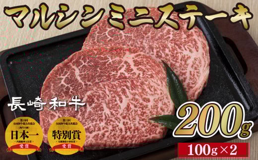 B179p 長崎和牛マルシンミニステーキ(2枚)長崎県佐世保市11000肉牛肉