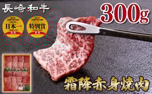 B176p 長崎和牛霜降赤身焼肉(計300g)長崎県佐世保市16500肉牛肉