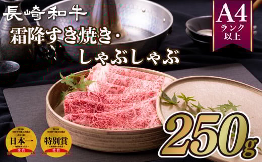 B256p 長崎和牛霜降すき焼き・しゃぶしゃぶ(250g)長崎県佐世保市16500肉牛肉