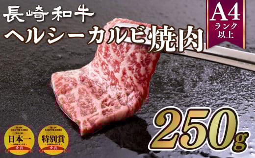B175p 長崎和牛ヘルシーカルビ焼肉(250g)長崎県佐世保市11000肉牛肉