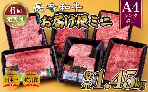 B244p 《定期便》長崎和牛お届け便ミニ(6回)長崎県佐世保市81500肉牛肉