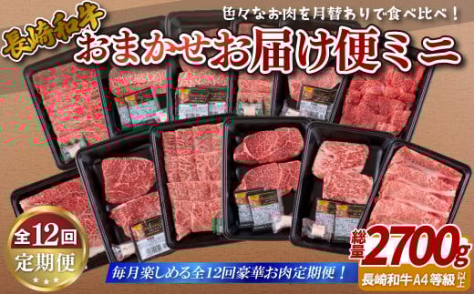 B249p 《定期便》長崎和牛おまかせお届け便ミニ(12回)長崎県佐世保市162500肉牛肉
