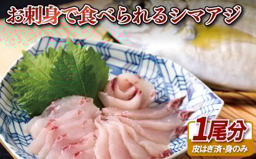 A111p 「活〆急速冷凍」お刺身で食べられるシマアジ長崎県佐世保市16500魚介・海産物鮮魚