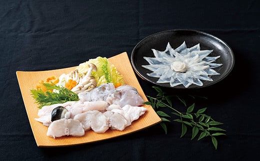 A112a ẐƂӂhgƂӂZbg茧ێs24000ECYN