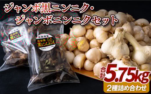 C236p ジャンボ黒ニンニク・ジャンボニンニクセット長崎県佐世保市32500野菜・きのこその他 野菜