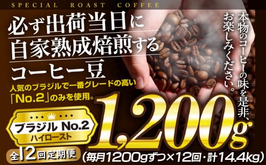 E431z y12ցzKoדɎƏnuWNo.2(1,200g)ySASEBO Coffee TOMINAGAz120000~ lC VN ҂ R[q[ {i eʒ茧ێs120000ER[q[Eg