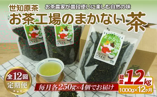 C247p 世知原茶お茶工場のまかない茶【12回定期便】長崎県佐世保市141000お茶・飲料お茶