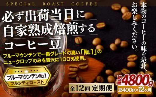 E274z 【12回定期便】必ず出荷日に自家熟成焙煎 ブルーマウンテンNo.1豆(400g) コーヒー豆【SASEBO Coffee TOMINAGA】人気 新鮮 挽きたて 高級コーヒー 本格長崎県佐世保市240500お茶・飲料コーヒー・
