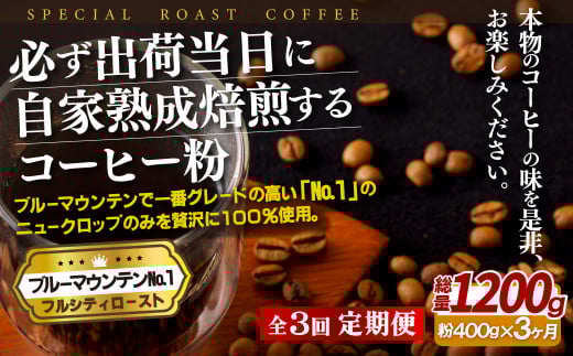 E275z y3ցzKoדɎƏn u[}EeNo.1(400g) R[q[ySASEBO Coffee TOMINAGAzlC VN ҂ R[q[ {i茧ێs60000ER[q[Eg