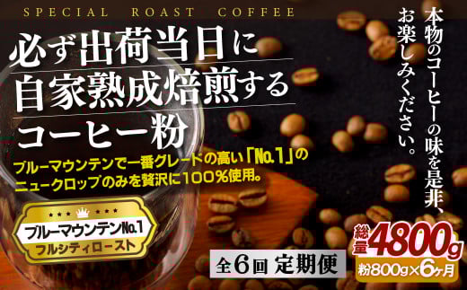 E282zy6ցzKoדɎƏnu[}EeNo.1(800g)ySASEBO Coffee TOMINAGAzlC VN ҂ R[q[ {i茧ێs240500ER[q[Eg