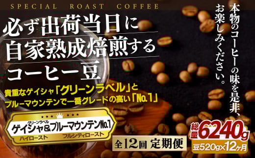 E292zy12ցz KoדɎƏnQCV(320g)u[}Ee.1(200g)y12ցzySASEBO Coffee TOMINAGAzlC VN ҂ R[q[ {i 󏭒茧ێs240