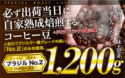 E428d 【ドリップバッグ付!】必ず出荷日に自家熟成焙煎ブラジルNo.2豆(1.2kg)+ドリップバッグ4パック ブラジル豆の最高グレード J.C.Q.A認定コーヒーインストラクター1級のこだわり コーヒー