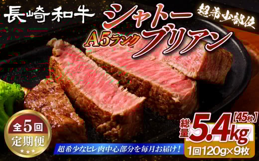 B394 【5回定期便】長崎和牛 A5等級 シャトーブリアン 120g×9枚 総量45枚 5.4kg 【田中精肉店】シャトーブリアン ヒレ フィレ ステーキ 赤身 和牛 黒毛和牛 牛肉 希少部位長崎県佐世保市1000000肉