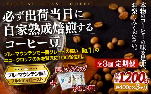 E272d sցtKoדɎƏnu[}EeNo.1(400g){hbvobO8pbNy3񂨓͂zySASEBO Coffee TOMINAGAzlC VN ҂ R[q[ {i  ȒP茧