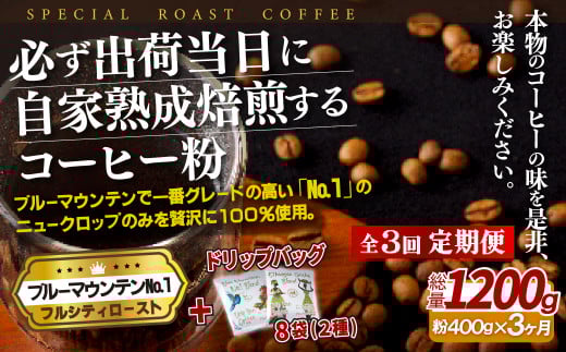 E275d sցtKoדɎƏnu[}EeNo.1(400g){hbvobO8pbNy3񂨓͂zySASEBO Coffee TOMINAGAzlC VN ҂ R[q[ {i  ȒP茧