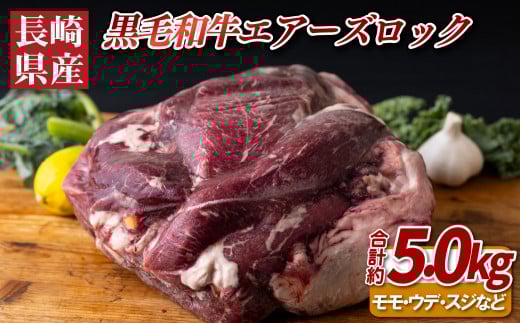 B381 長崎県産黒毛和牛エアーズロック長崎県佐世保市49000肉牛肉