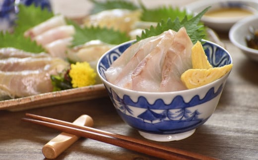 A462 九十九島海鮮紀行(お刺身・海鮮丼)長崎県佐世保市11000魚介・海産物貝類
