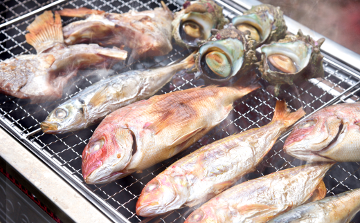 A466 九十九島高島浜焼きBBQセット山盛り長崎県佐世保市21000魚介・海産物貝類