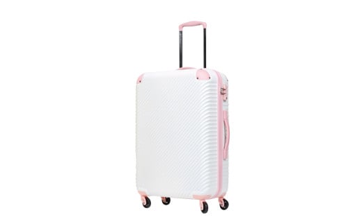 G538 y3p Q̈芴Iz ABS7352X[cP[X S izCg×s[`j TSAbN _C yʃL[P[X X[cP[X COL[P[X L[obO yX[cP[X