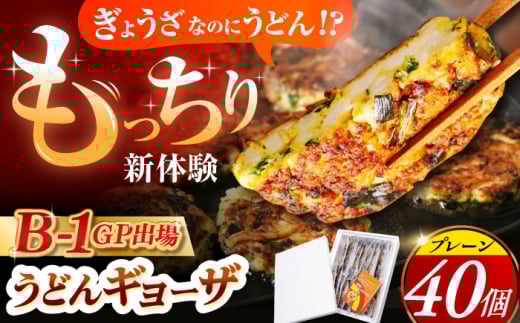 餃子 高槻うどんギョーザふるさとギフト【プレーン40個】 餃子 ぎょうざ ギョーザ うどん 焼きうどん お好み焼き お好み焼き風 家庭料理 おつまみ つまみ おやつ お酒 ビール アルコール お