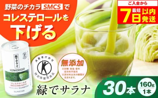 【最短7日以内発送】サンスター 緑でサラナ 30本セット 160g 野菜ジュース 青汁 サラナ 缶 ケース まとめ買い 健康 特定保健用食品 トクホ コレステロール 保存料不使用 無添加 国産 長期保存