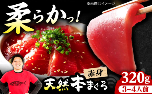 ܂ ɏIˏnVR{܂Ԑg(320g) ܂ }O  Ԑg hg }O  Ԑg g Ƃ hg   Ⓚ CN VN {Ύs/{܂뒼 [AOCE001] {}O Ԑg g