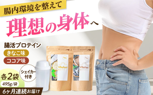 【定期便6ヶ月連続】Vitafast 乳酸菌プロテイン きなこ&ココア味 各1袋×6ヶ月 計12袋 シェイカー1個付き 筋トレ プロテイン トレーニング シェイカー プロテイン 美容 ダイエット 腸活 シェイ