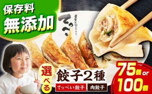【選べる種類・容量】人気ラーメン店の本気の「てっぺい餃子/肉餃子」100個入り(25個×4パック)【保存料無添加】【メディアでも話題:石田てっぺいラーメン店】 国産豚肉 餃子 ぎょうざ 冷