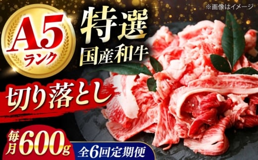 【全6回定期便】 和牛 国産和牛切落し 600g 肉 お肉 国産 和牛 牛肉 切り落とし 冷凍 ギフト ストック A5ランク 国産和牛切落し 600g 肉 お肉 国産 和牛 牛肉 切り落とし 冷凍 ギフト ストック