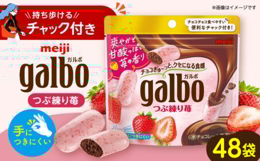 【年内発送】チョコレート ガルボつぶ練り苺パウチ 58g×48袋セット お菓子 チョコ 焼き菓子 クッキー ビスケット いちごチョコ ガルボ ガルボチョコ galbo ガルボチョコパウチ パウチ 持ち運