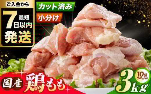 yNzyXs[hzY {  3kg(300g×10pbN) Ⓚ   {  { Y{ e {Ύs/А{t[Y [AOCA002] Y{ pb