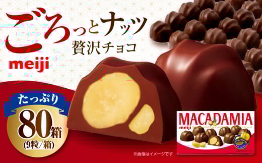 【年内発送】チョコレート マカダミアチョコレート 9粒×80箱 お菓子 菓子 おかし おやつ 間食 チョコ マカダミア マカダミアチョコレート マカダミアナッツ マカダミアチョコ ナッツ ロー