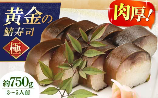 ̎IiiɁj i Ii _i I  To  Mtg v[g j {Ύs/Mq [AOAV007]{Ύs34000ECY̑ ECY