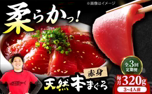 【全3回定期便】極上!たね熟天然本まぐろ赤身(320g) 天然 マグロ 鮪 赤身 刺身 魚 魚介 魚介類 海鮮丼 本マグロ 本まぐろ 本鮪 赤身 大トロ 冷凍 お刺身 お寿司 大阪府高槻市/本まぐろ直売所