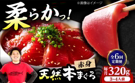 【全6回定期便】極上!たね熟天然本まぐろ赤身(320g) 天然 マグロ 鮪 赤身 刺身 魚 魚介 魚介類 海鮮丼 本マグロ 本まぐろ 本鮪 赤身 大トロ 冷凍 お刺身 お寿司 大阪府高槻市/本まぐろ直売所