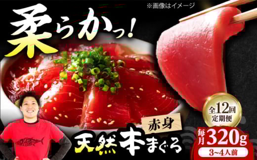 【全12回定期便】極上!たね熟天然本まぐろ赤身(320g) 天然 マグロ 鮪 赤身 刺身 魚 魚介 魚介類 海鮮丼 本マグロ 本まぐろ 本鮪 赤身 大トロ 冷凍 お刺身 お寿司 大阪府高槻市/本まぐろ直売所