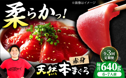 【全3回定期便】極上!たね熟天然本まぐろ赤身(640g) 天然 マグロ 鮪 赤身 刺身 魚 魚介 魚介類 海鮮丼 本マグロ 本まぐろ 本鮪 赤身 大トロ 冷凍 お刺身 お寿司 大阪府高槻市/本まぐろ直売所